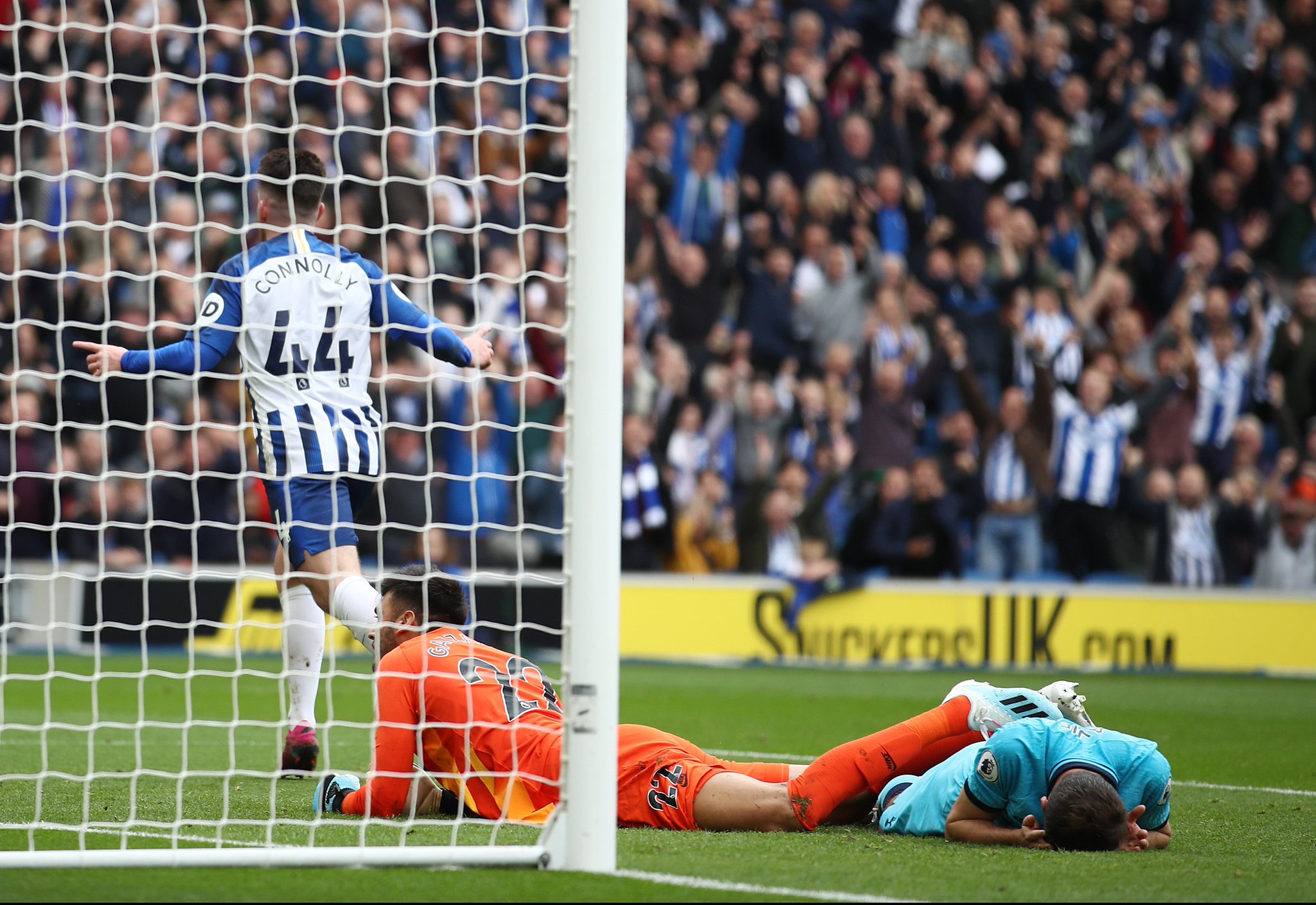 郑钦文不仅 郑钦文不仅