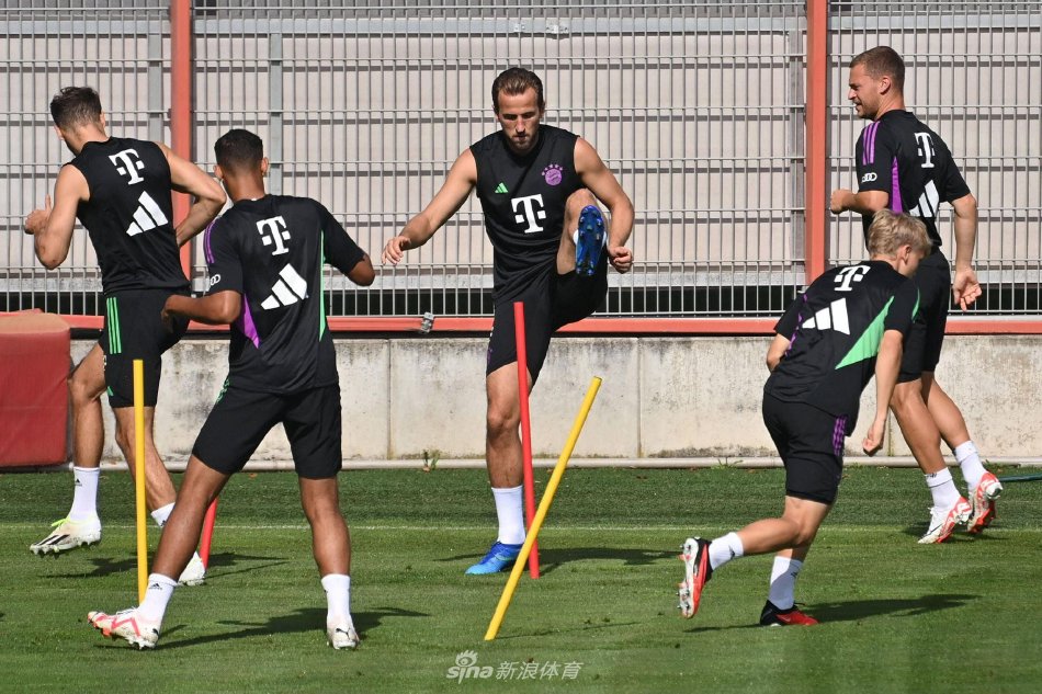 喜和喜悦 喜和喜悦